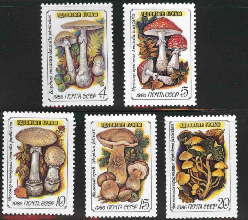 Russia Scott 5454-5458 MNH** Mushroom set 1986