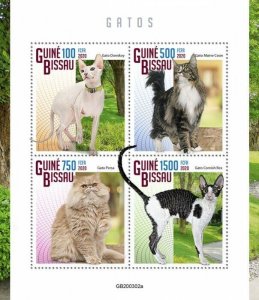 Guinea-Bissau Cats Stamps 2020 MNH Maine Coon Persian Cornish Rex Cat 4v M/S