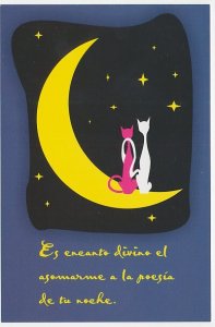 Postal stationery Cuba 2008 Cat - Stars - Moon - Poetry