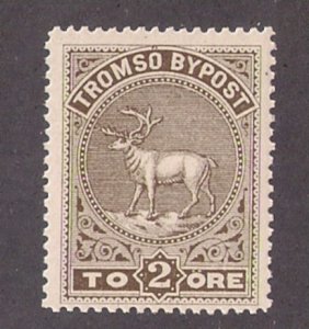 NORWAY local stamp; Tromso 2o Reindeer topical NICE STAMP!