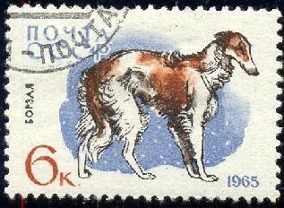 Dog, Borzoi, Russia Stamp SC#3006 Used