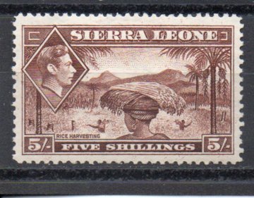 Sierra Leone 183 MLH