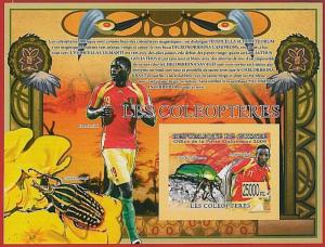 FRENCH GUINEA - ERROR, 2009 IMPERF SHEET: BEETLES, INSECTS, SOCCER