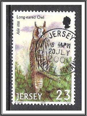 Jersey #996 Birds of Prey Used