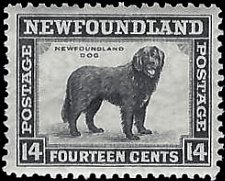 NEWFOUNDLAND   #261 MNH (1)