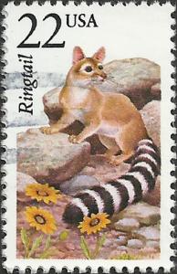 # 2302 USED RINGTAIL
