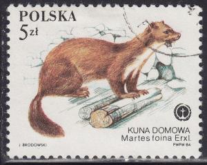 Poland 2651 Protected Animals, Martes Foina 5.00zł 1984