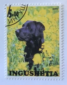 Russia, Ingushetia Illegal local Stamps 2000 - 5r, dog breed, Labrador Retriever