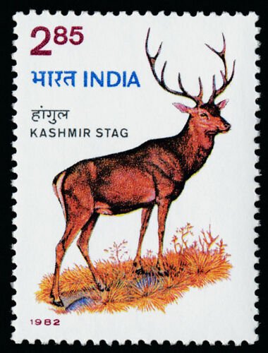 India 988 MNH Kashmir Stag, Deer 