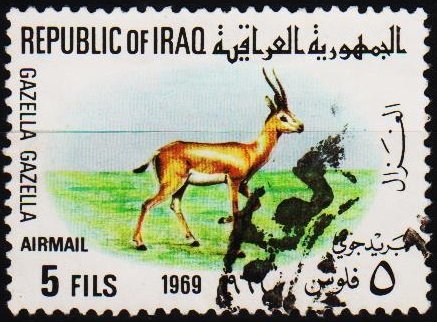 Iraq. 1969 5f S.G.831 Fine Used