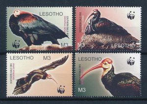 [53511] Lesotho 2004 Birds Oiseaux�Uccelli   MNH WWF