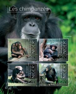 NIGER 2013 SHEET CHIMPANZEES MONKEYS PRIMATES WILDLIFE nig13703a