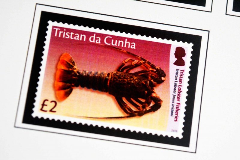 COLOR PRINTED TRISTAN DA CUNHA 2011-2020 STAMP ALBUM PAGES (45 illustr. pages)