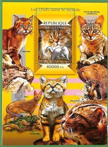 A0631 -  GUINEE Guinea -  ERROR   MISSPERF SHEET - Animals Pets WILD CATS  2015