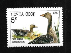 Russia - Soviet Union 1990 -  MNH - Scott #5909