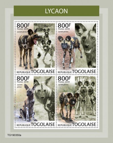 TOGO - 2019 - African Wild Dogs - Perf 4v Sheet - MNH