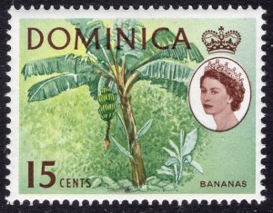 DOMINICA SCOTT 174