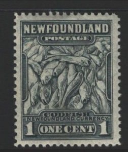 Newfoundland Sc#253 MNH - pencil on reverse