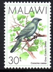 Malawi - 1988 Birds 30t MNH** SG 797