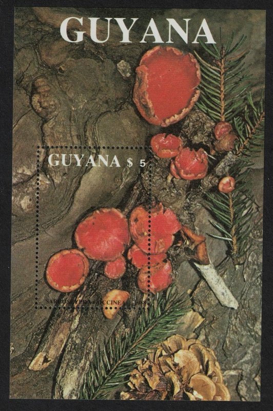 Guyana Fungi Mushrooms 'Sarcoscypha coccinea' MS 1989 MNH SC#2011 MI#Block 37