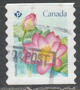 Canada     3088   Coil       (O)   2018