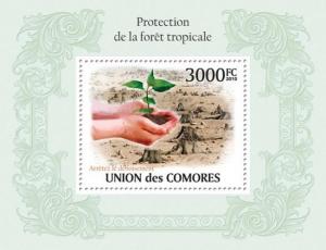 COMORES 2010 SHEET PROTECTION TROPICAL FORESTS FORET TROPICALE PLANTS cm10110b