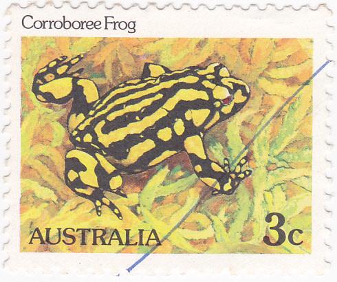 Australia #785 1981 Wildlife- Corroboree Frog 3c -used