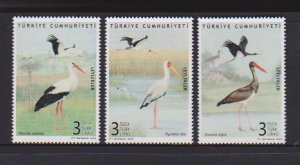 2021 Turkey Storks (3)  (Scott NA) MNH