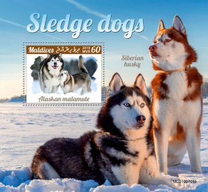 Maldives 2019 MNH Dogs Stamps Sledge Dogs Alaskan Malamute Siberian Husky 1v S/S