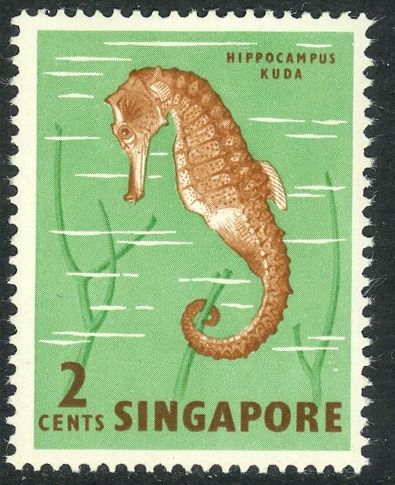 SINGAPORE 1962 2c SEA HORSE Marine Life Issue Scott No. 53 MNH