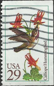 # 2646 USED CALLIOPE HUMMINGBIRD