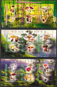 {g147} Djibouti Congo 2013 Mushrooms 3 sh. Used / CTO Cinderella