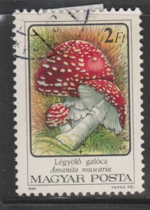 Hungary 3046 Amanita Phallcides 1986