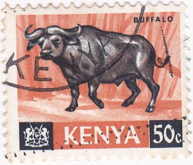 Kenya- 1966 African Buffalo 50c -SG 26