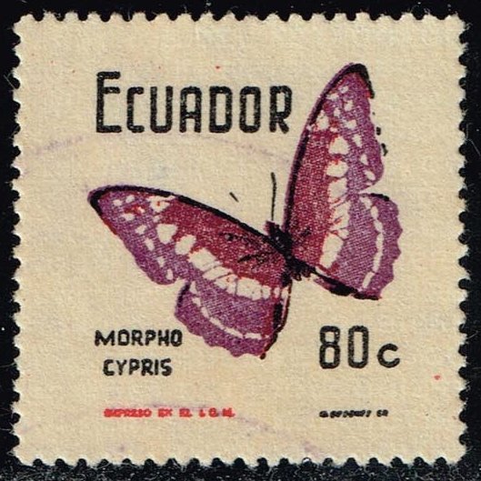 Ecuador #803 Morpho cypris Butterfly; Used (0.25)