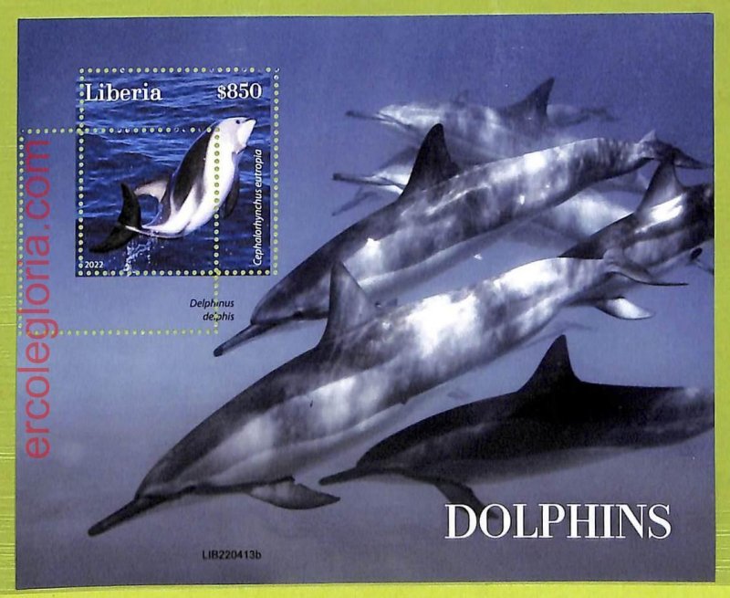 B0504 - LIBERIA - MISPERF ERROR Stamp Sheet - 2022 - Dolphins, Marine Life-