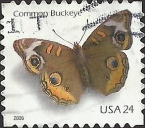 # 4001 USED COMMON BUCKEYE BUTTERFLY