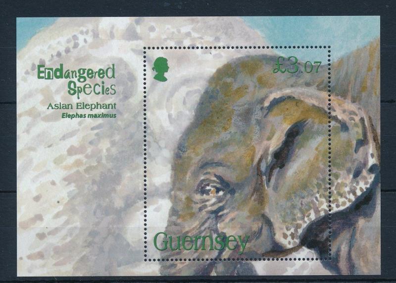 [29721] Guernsey 2010 Animals Endangered species Asian Elephant MNH Sheet