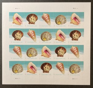 U.S. 2017 #5163-6 Sheet, (Postcard) Shells, MNH.