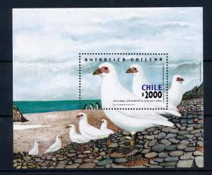 [40202] Chile 2001 Birds Vögel Oiseaux Ucelli  Antarctic MNH Sheet