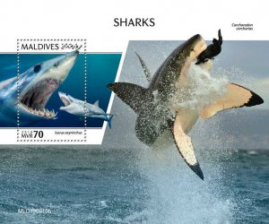 Maldives 2019 MNH Marine Animals Stamps Sharks Shortfin Mako Shark 1v S/S