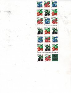 Fruit and Berries 33c US Postage Booklet of 20 stamps #3294-97b VF MNH