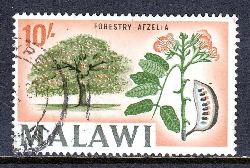 MALAWI — SCOTT 50 — 1967 10/- AFZELIA TREE, WMK. 357 — USED — SCV $18