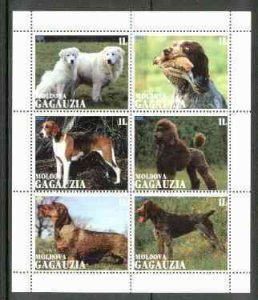 GAGAUZIA - 1999 - Dogs - Perf 6v Sheet - Mint Never Hinged - Private Issue