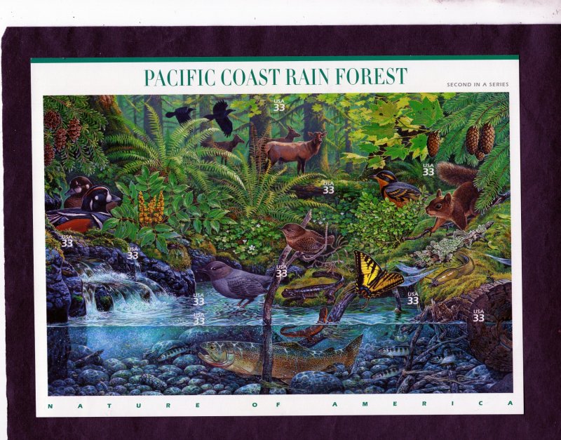 3378 Pacific Coast Rain Forest, MNH sheet/10