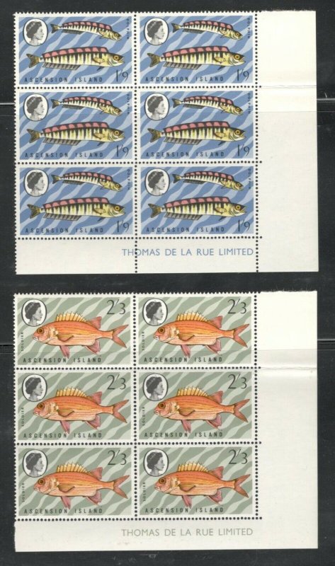 Ascension Island 4 Blocks of 6 SC #'s 130-133 Fish Types of 1968 