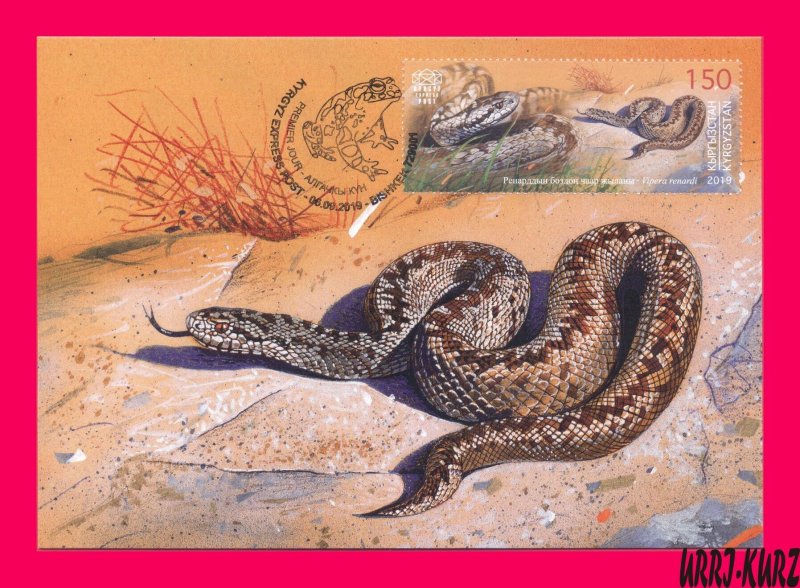 KYRGYZSTAN 2019 Fauna Animals Reptiles Amphibians Snake Viper Maxicard Card