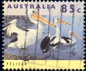 Bird, Pelican, Australia stamp SC#1283a used