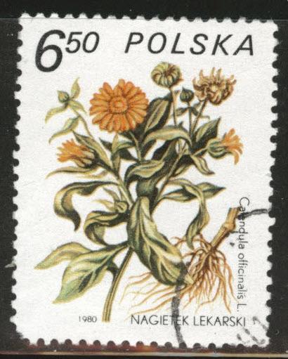 Poland Scott 2414 Used stamp 1980