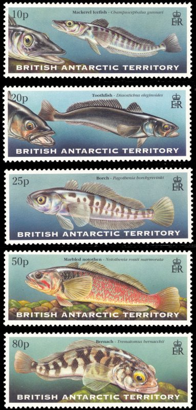 British Antarctic Territory 1999 Scott #275-279 Mint Never Hinged